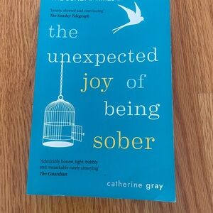 Blue Book - The Unexpected Joy of Being Sober